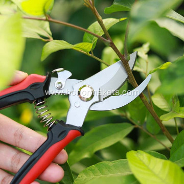 Professional 2 Pieces stainless steel pruning shears garden shears garden scissors trimming garden pruner set